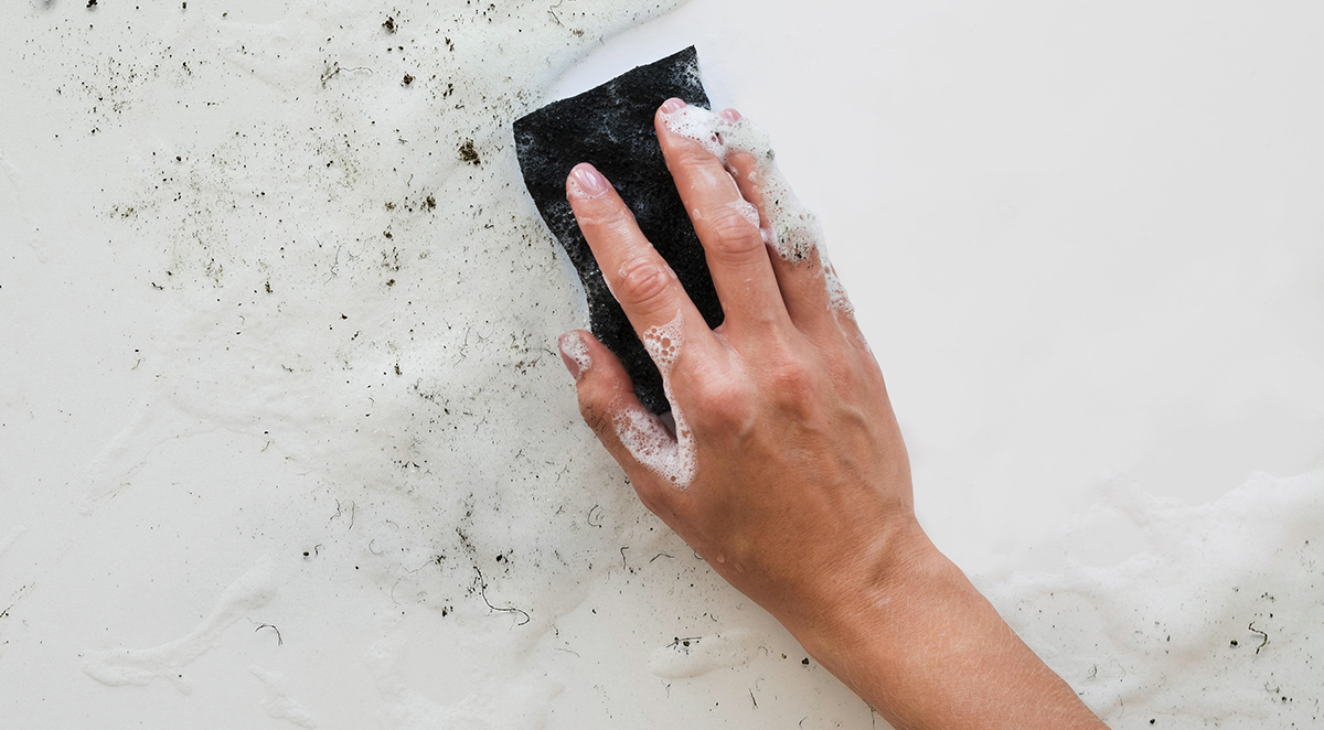 How to Prevent Mold and Mildew in Your Asheville Home