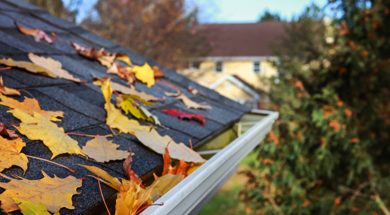 Tips for Fall Cleaning in Western North Carolina